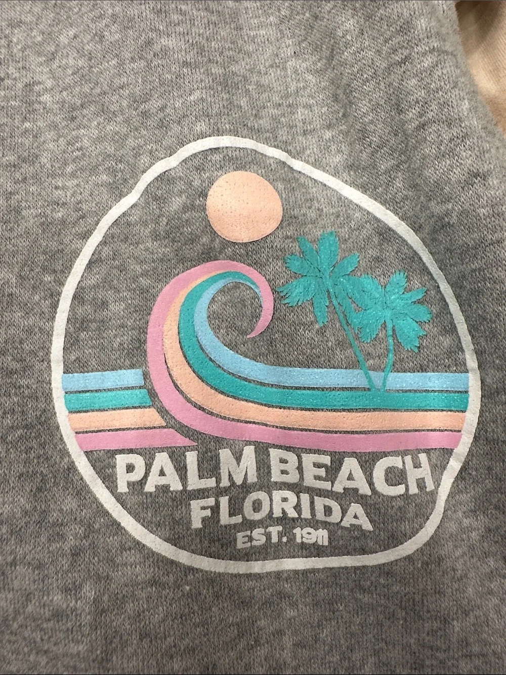 Ocean Drive medium Palm Beach Gray Zip Hoodie & Jogger Set with Pastel Strip